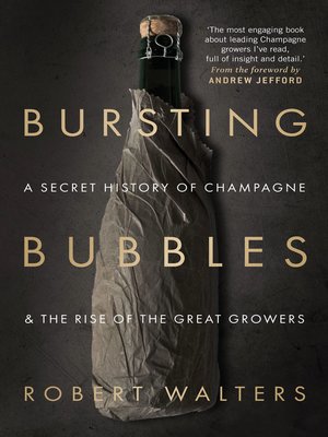 cover image of Bursting Bubbles